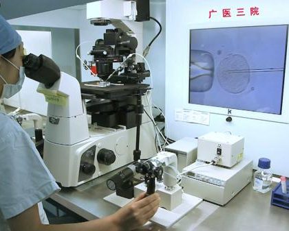 穗团队全球首次将基因编辑技术运用于人类正常胚胎