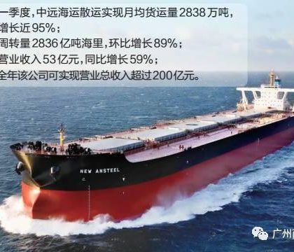 全球最大干散货运输企业落户广州一年实现盈利