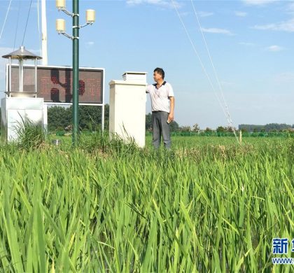 中国农村改革“第一村”迈入“农业3.0时代”