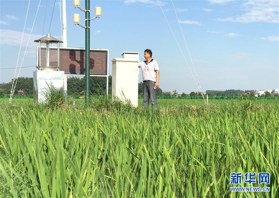 中国农村改革“第一村”迈入“农业3.0时代”