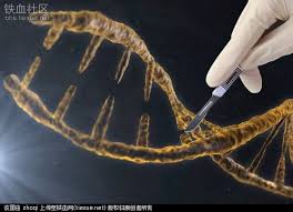 美国国内首次进行人类胚胎基因编辑