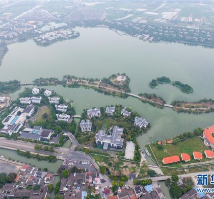 看小镇，见未来：长三角特色小镇引领中国产业发展转型