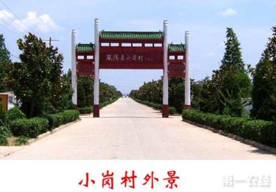 “中国农村改革第一村”首次分红