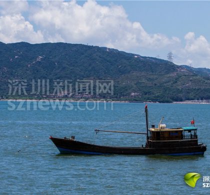 建设全球海洋中心城市，深圳拟为海域管理立法