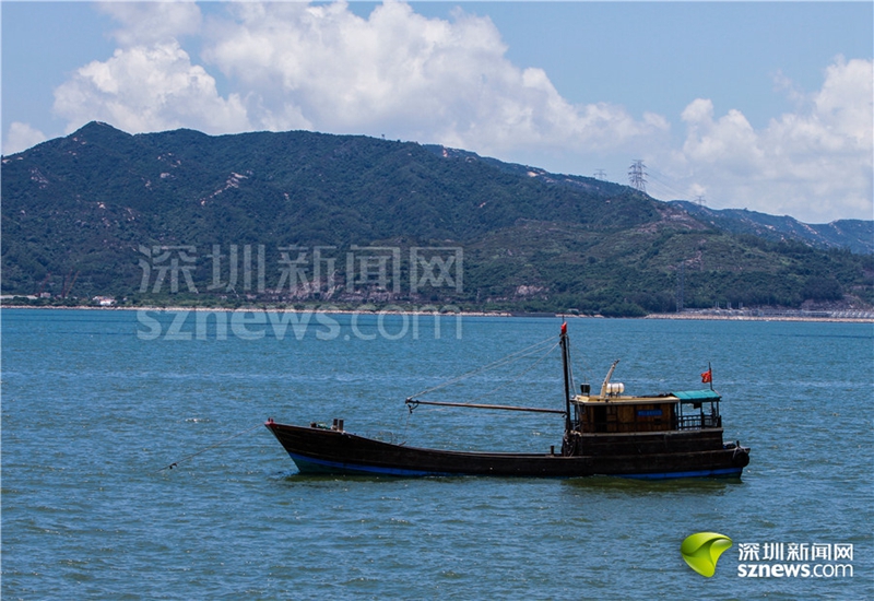 建设全球海洋中心城市，深圳拟为海域管理立法