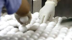 美农场召回两亿枚鸡蛋　疑受沙门氏菌污染
