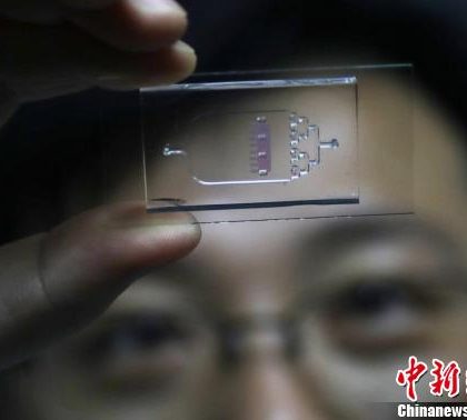中国科学家开发出“可视化”的“心脏芯片”