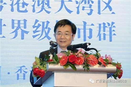 陈广汉：粤港澳大湾区将引领中国经济发展和对外开放