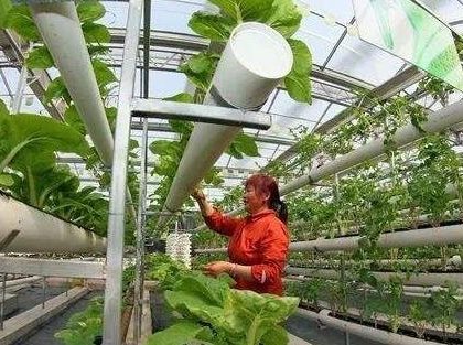 广东今年再投25亿元 建设现代农业产业园