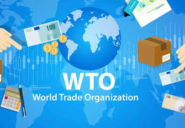 中国提交WTO改革建议文件 提出四方面改革重点