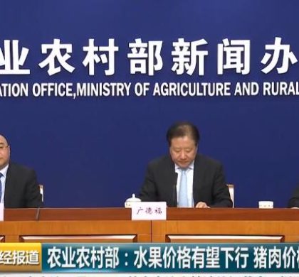 生猪和能繁母猪存栏降幅超20% 中国农业农村部将强化政策扶持