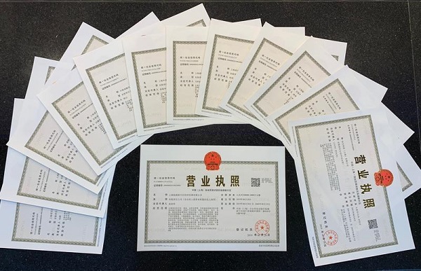 首批13张上海自贸区临港新片区营业执照诞生