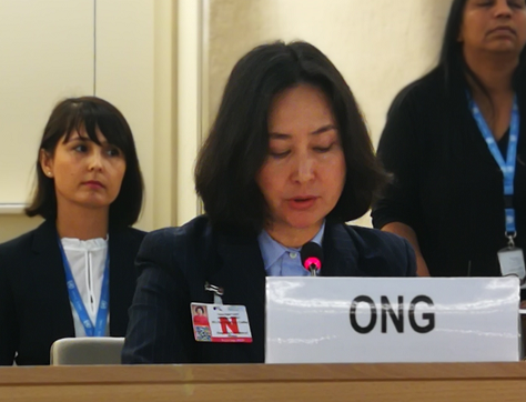 香港各界对何超琼在联合国人权会议的发言予以积极评价