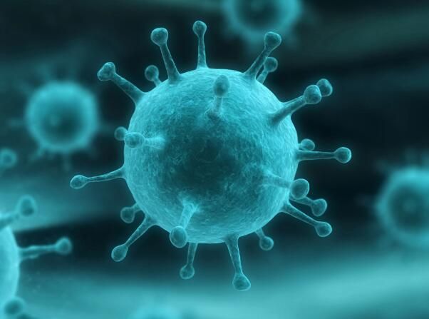 美研究发现呼吸道病毒逃避免疫系统攻击的一种机制