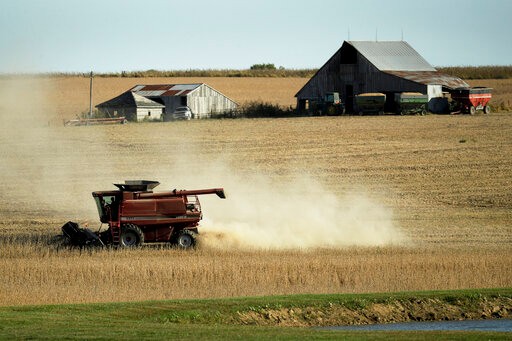 A farmer harvests soybeans in a field, Sunday, Oct. 13, 2019, near Concordia, Mo. (AP Photo/Charlie Riedel)