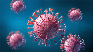 新加坡研究发现未感染者体内存在新冠特异性T细胞