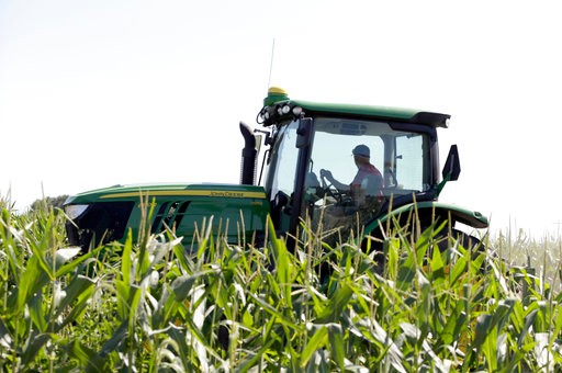 Farmer Tim Novotny of Wahoo, shreds male corn plants in a field of seed corn, in Wahoo, Neb., Tuesday, July 24, 2018. The Trump administration announced Tuesday it will provide $12 billion in emergency relief to ease the pain of American farmers slammed by President Donald Trump's escalating trade disputes with China and other countries. (AP Photo/Nati Harnik)