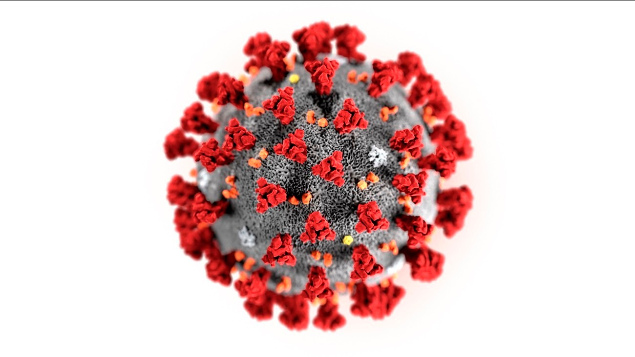 This illustration provided by the Centers for Disease Control and Prevention in January 2020 shows the 2019 Novel Coronavirus (2019-nCoV). This virus was identified as the cause of an outbreak of respiratory illness first detected in Wuhan, China. (Centers for Disease Control and Prevention via AP)