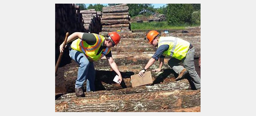 拜登政府宣布投资 4300 万美元 以推进木材产品和木材能源经济的创新