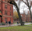 哈佛大学恢复 2029 届毕业生的标准化考试要求