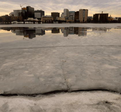 “我开始担心马萨诸塞州了”：波士顿的科技和创新氛围是否正在萎缩？