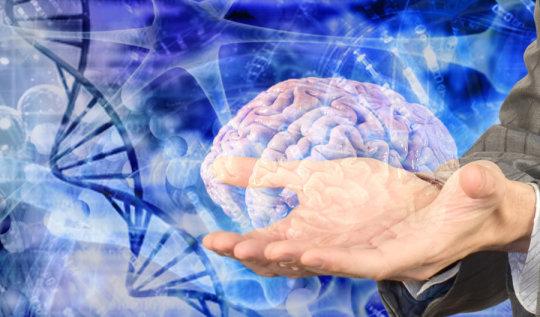 科学家发现控制衰老的脑细胞