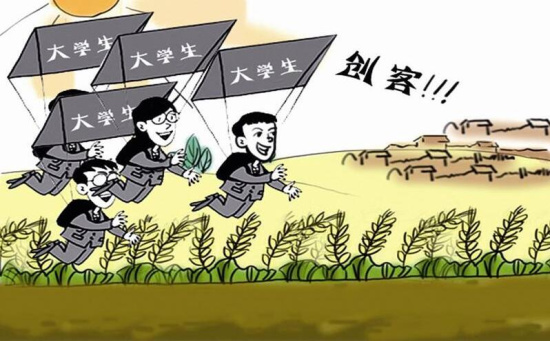 中国大学生“田野创业”潮推动农业转型