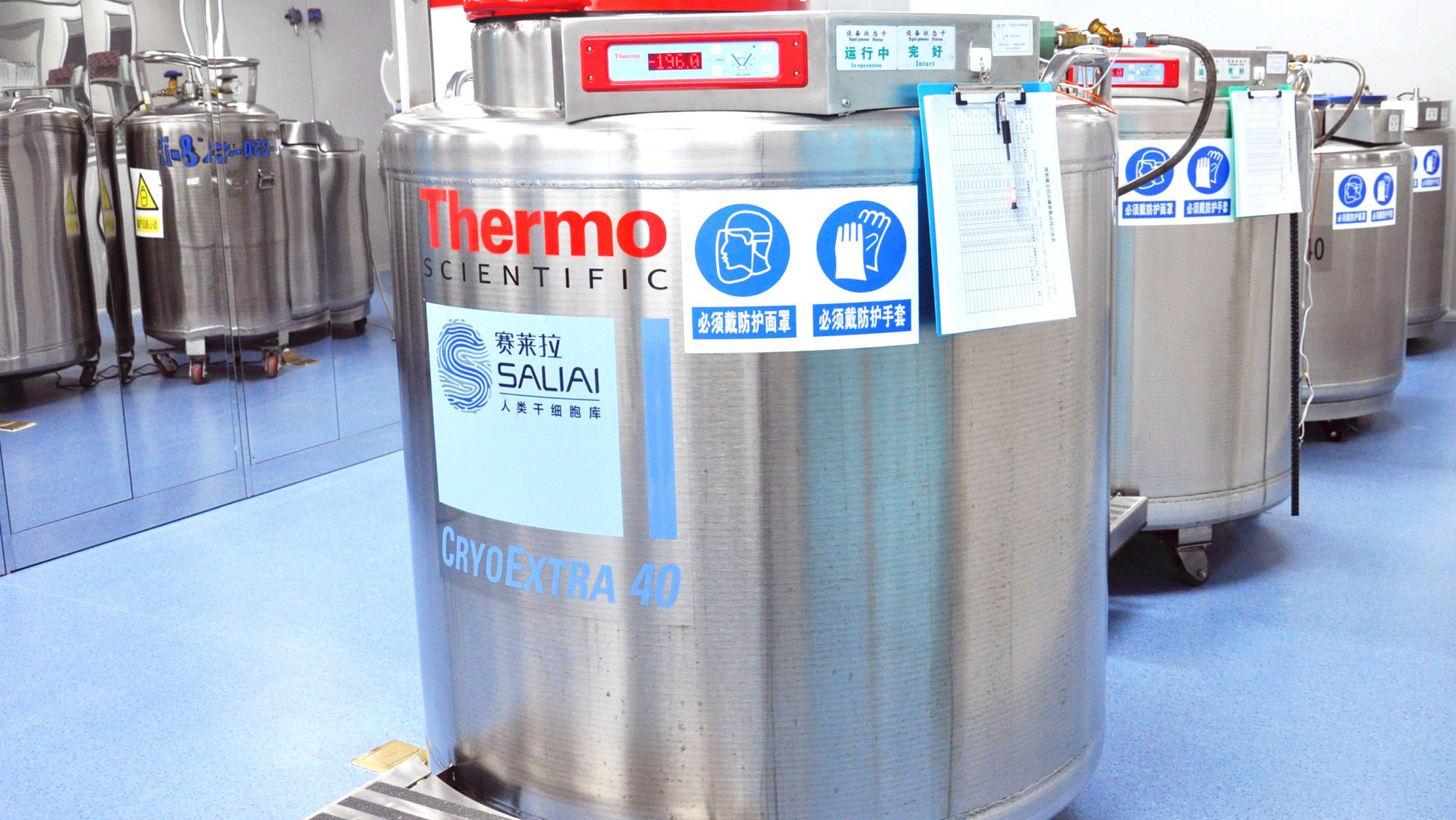 ÈüÀ³À­¸ÉÏ¸°û¹«Ë¾µÄÈËÀà¸ÉÏ¸°û¿â¡£