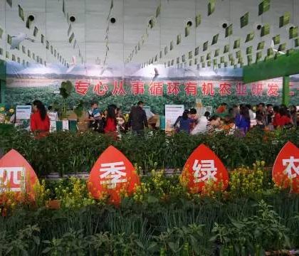 中国农产品“触网”环游记