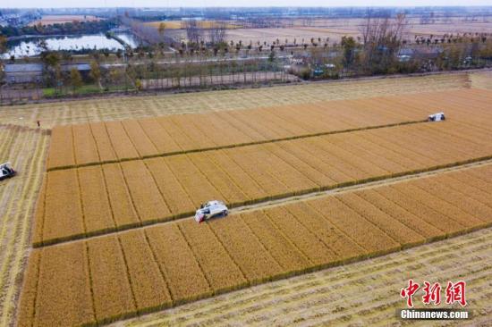 中国农业部启动实施“农业质量年”行动