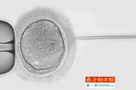 广东专家全球首次修复胚胎中的单碱基突变