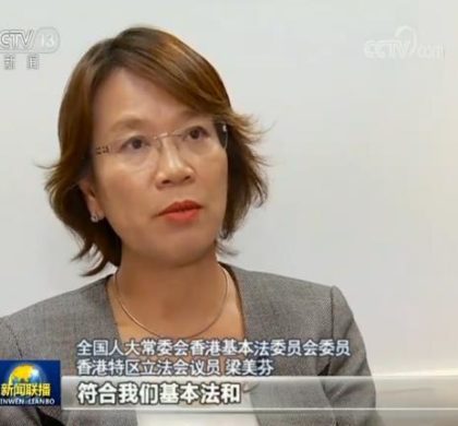 香港律师界：暴徒涉多项网络犯罪 打击有法可依