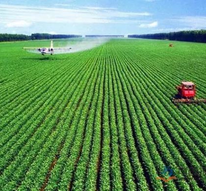 中国农业正加速步入营养导向型发展新阶段