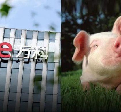 万科养猪、恒大造车…中国地产巨头跨界能否弯道超车？