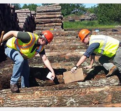 拜登政府宣布投资 4300 万美元 以推进木材产品和木材能源经济的创新