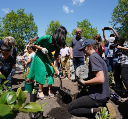 吴弭市长宣布提供 1100 万美元联邦拨款  以改善波士顿树冠并增加劳动力发展机会